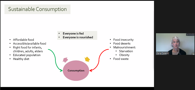 illustrates sustainable consumption